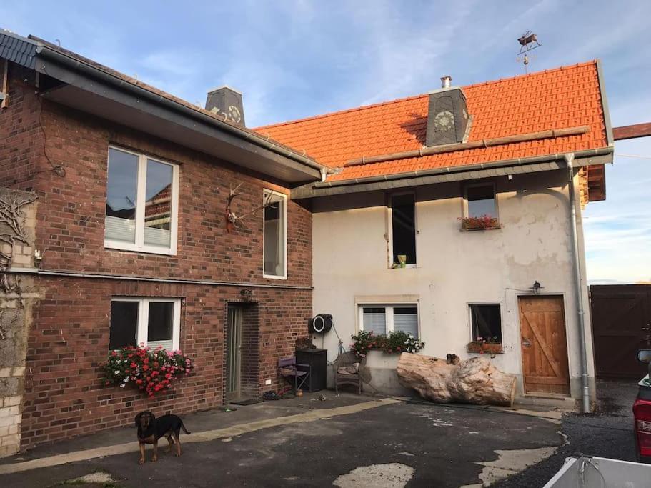 Ferienwohnung Felinenhof 바일러스비스트 외부 사진